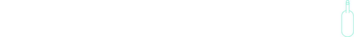 NickPort Logo